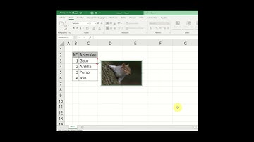 #shorts INSERTAR UNA IMAGEN A UNA NOTA EN EXCEL 🟢