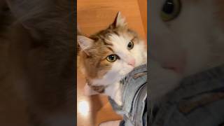 お父さん、おかえり〜