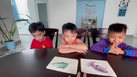 Tiếng Anh Giao Tiếp Phan Thiết:Ben, Luca and James practice talking about Sea Animals