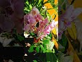 #이찬원 #자연이좋아 #자연의힘 #자연치유