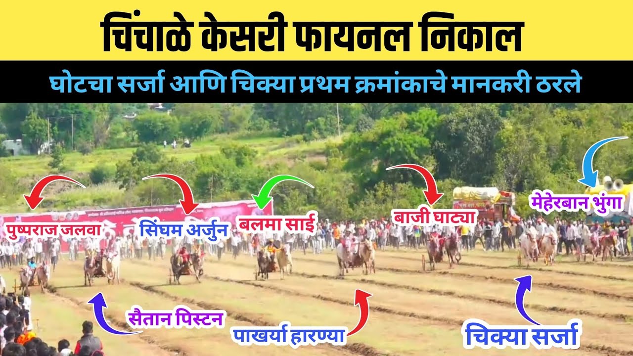 चिंचाळे केसरी मैदान फायनल निकाल/चिंचाळे मैदान फायनल फेरा/chichale final nikal 