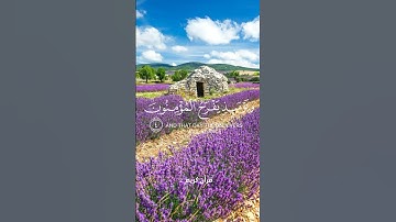 ويومئذ يفرح المؤمنون بنصر الله | ياسر الدوسري | سورة الروم