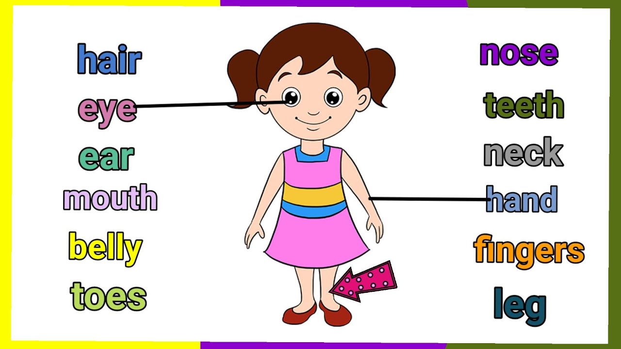 Body Parts For Kids Match Body Parts With Name Matching Worksheet For Body Parts For Kids Match Body Parts With Name Matching Worksheet For