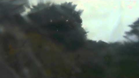 197.131 final - Chris Lee