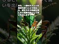 【日常生活の雑学】カメムシ #shorts