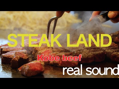 일본 고베 와규 스테이크랜드 Japanese Kobe Wagyu Restaurant Steak Land Sketch Film real sound