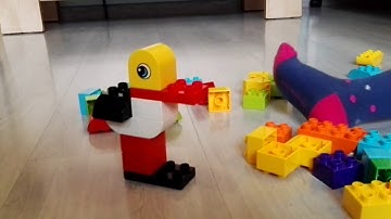 Blocks Lego Duplo -  Ducks, birds, fishes, heart and a house! (10848)
