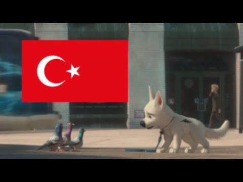 Bolt - Bolt and the pigeons [Turkish/Türkçe]