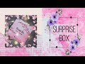#2 Surprise Box Royal Samples