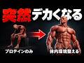 プロテインで効果を実感できない人が摂取するべき2つの栄養素