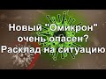 Новый "Омикрон" очень опасен? Расклад на ситуацию.