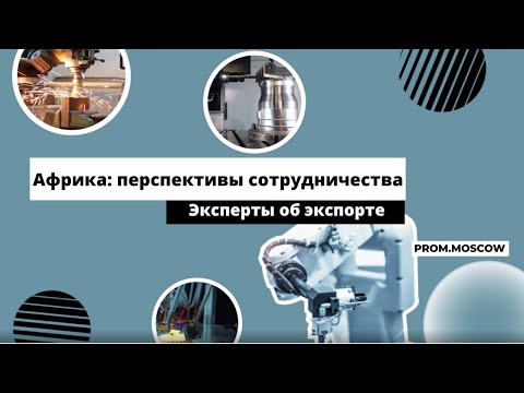 Африка: экспортный потенциал и перспективы сотрудничества/Эксперты об экспорте