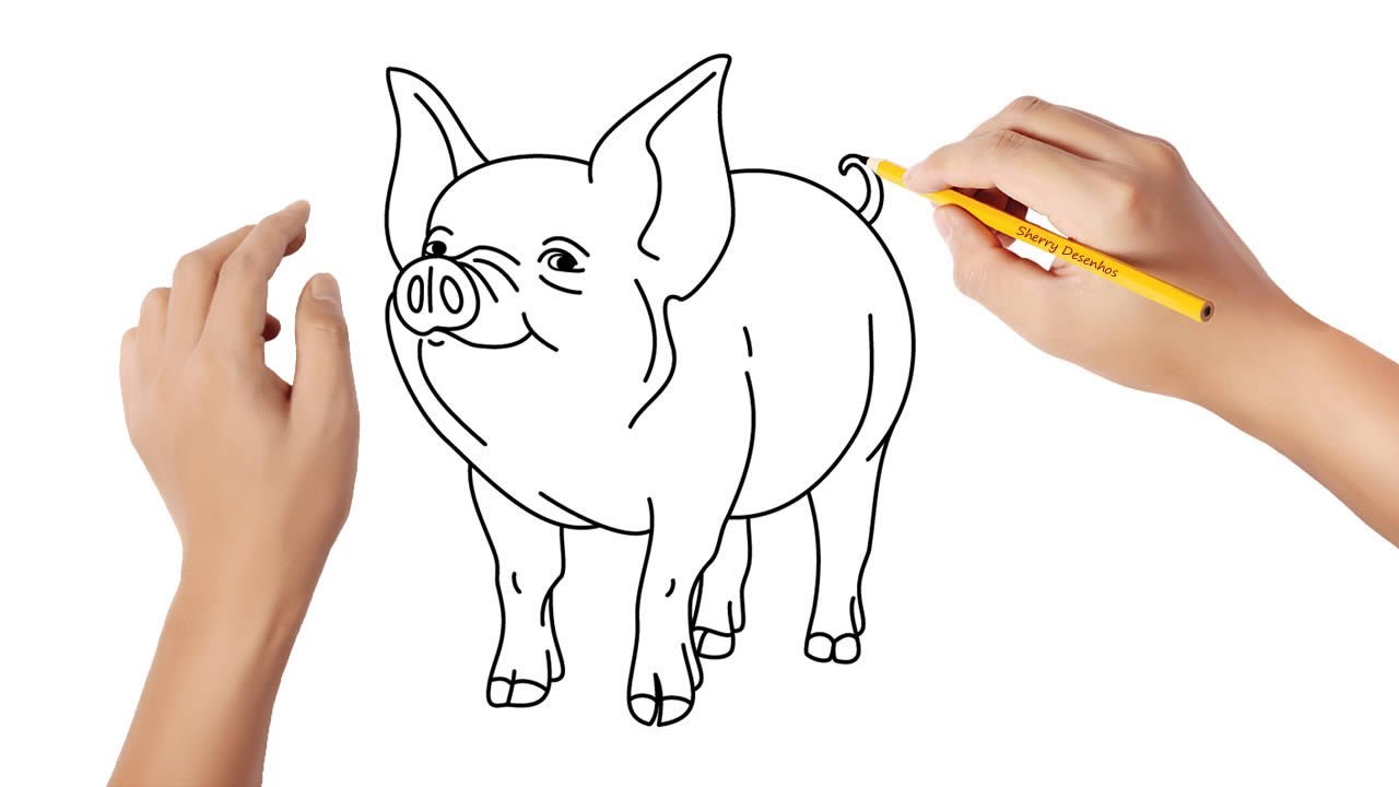 Como Desenhar Porco? Materiais, Dicas e Passo a Passo