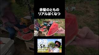 赤髪のとものリアルぼくなつ2024夏 #shorts #赤髪のとも