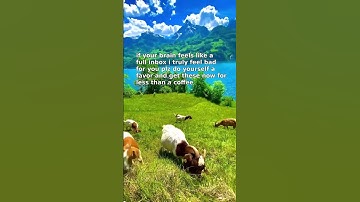 find calm link in bio no more emotional chaos 🧘‍♀️