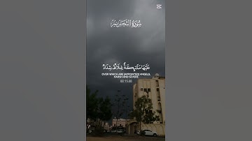 قرآن كريم راحة نفسية #اكسبلور #دويتو #قران