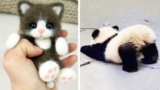 Cute baby animals Videos Compilation cute moment of the animals - Cutest Animals #42 by Funny TV 1,067,956 views 1 year ago 20 minutes