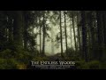 Celtic Forest Music - The Endless Woods