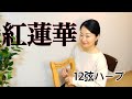 【12弦ベイビーハープ】LiSA 『紅蓮華』鬼滅の刃