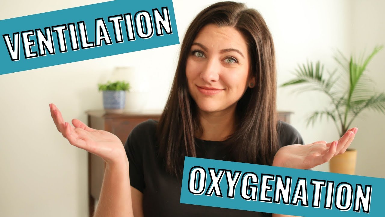 Ventilation vs Oxygenation in Simple Terms YouTube