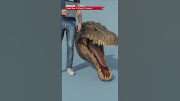 Jurassic World Rebirth | Compsognathus Head vs Distortus Rex Head