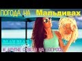 Погода на  Мальдивax! куда я пропала? boyfriend?