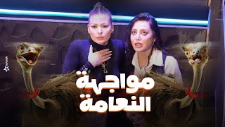 رامز جلال | مرام علي وباميلا الكيك فى مواجهة نعام رامز جاب من الاخر شوف اللى حصلهم