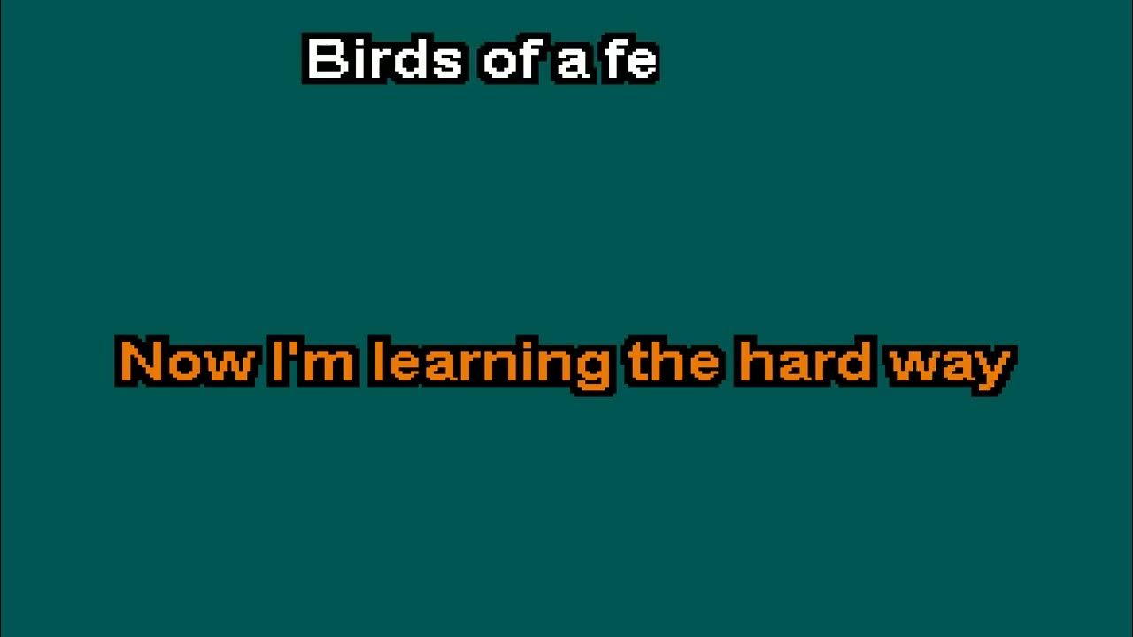 Birds Of A Feather Karaoke Vulfpeck - YouTube