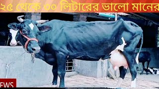 25 থক 30 লটর এর অরজনল ফরজযন গভ বচচ সহ খব অলপ টকয পয যচছন আপনর