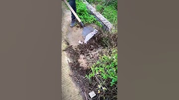 unique farming tool for cleaning weeds #shorts