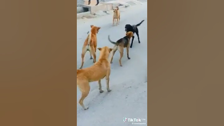 REVOLTOU! "Cara, pra mim, esse PÊNALTI pro Corinthians..." VAR É DETONADO/