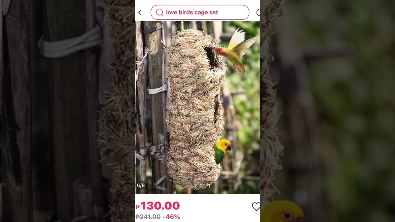 Ryoizen Weave Birds Nest Hanging Cage 