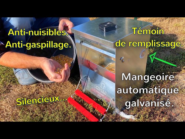 🐓 Mangeoire pour Poules Automatique, Anti nuisible et Anti gaspi ! 