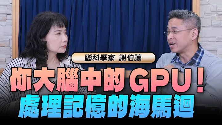 '24.05.15【财经起床号】脑科学家谢伯让谈「你大脑中的GPU！处理记忆的海马回」 - 天天要闻