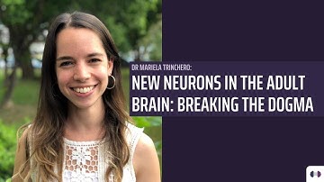 Dr Mariela Trinchero: New Neurons in the adult Brain | Corpus Curiosum | Series II