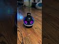 Ebo X (w/Alexa) - Robot Attitude 💁‍♀️ #eborobot