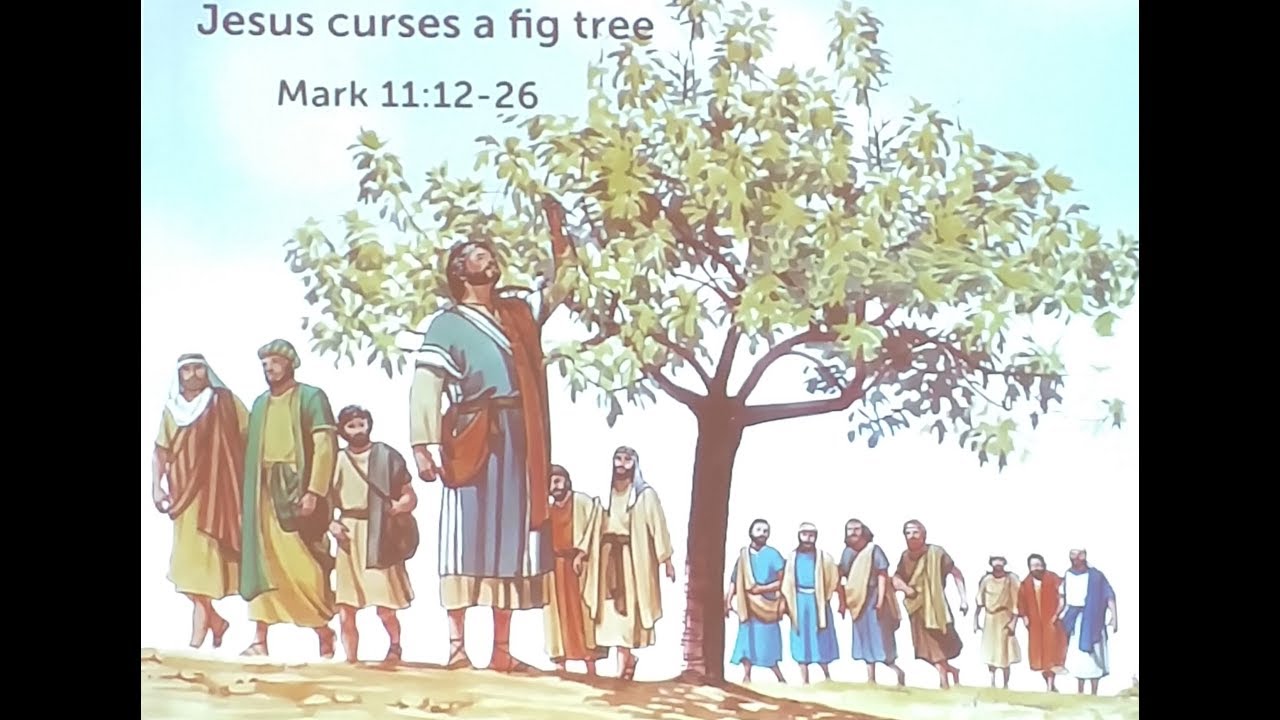 Jesus Curses a Fig - Mark 11 12-26 - YouTube