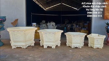 BÁO GIÁ KHUÔN CHẬU MỚI NHẤT 2025: CÁC MẪU CHẬU LỤC GIÁC CHÂN LIỀN