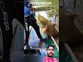 #automobile #music #food #goldenretreivers #cuteanimal #machine #goldenretreiver #cutecat #mukbang