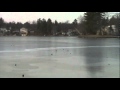 Laser gun noises from slightly frozen lake
