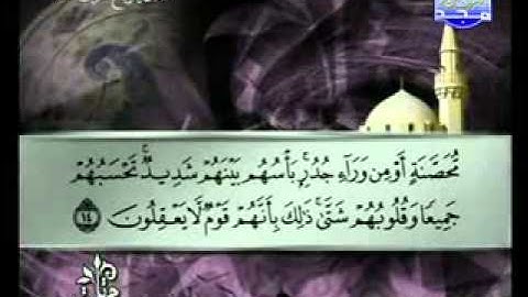 سورة الحشر الشيخ توفيق الصائغ