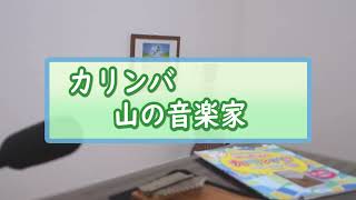 【カリンバ】山の音楽家