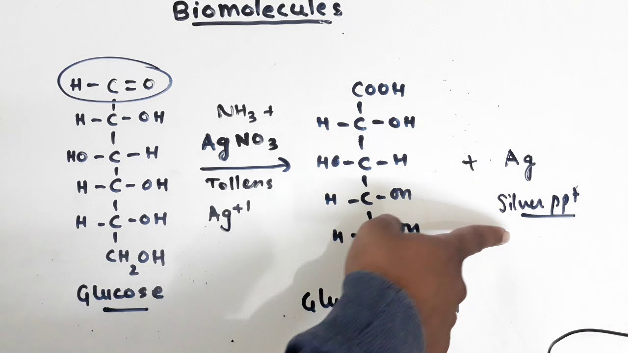 chemical Reactions of glucose/ (Biomolecules Class 12)/ chemical
