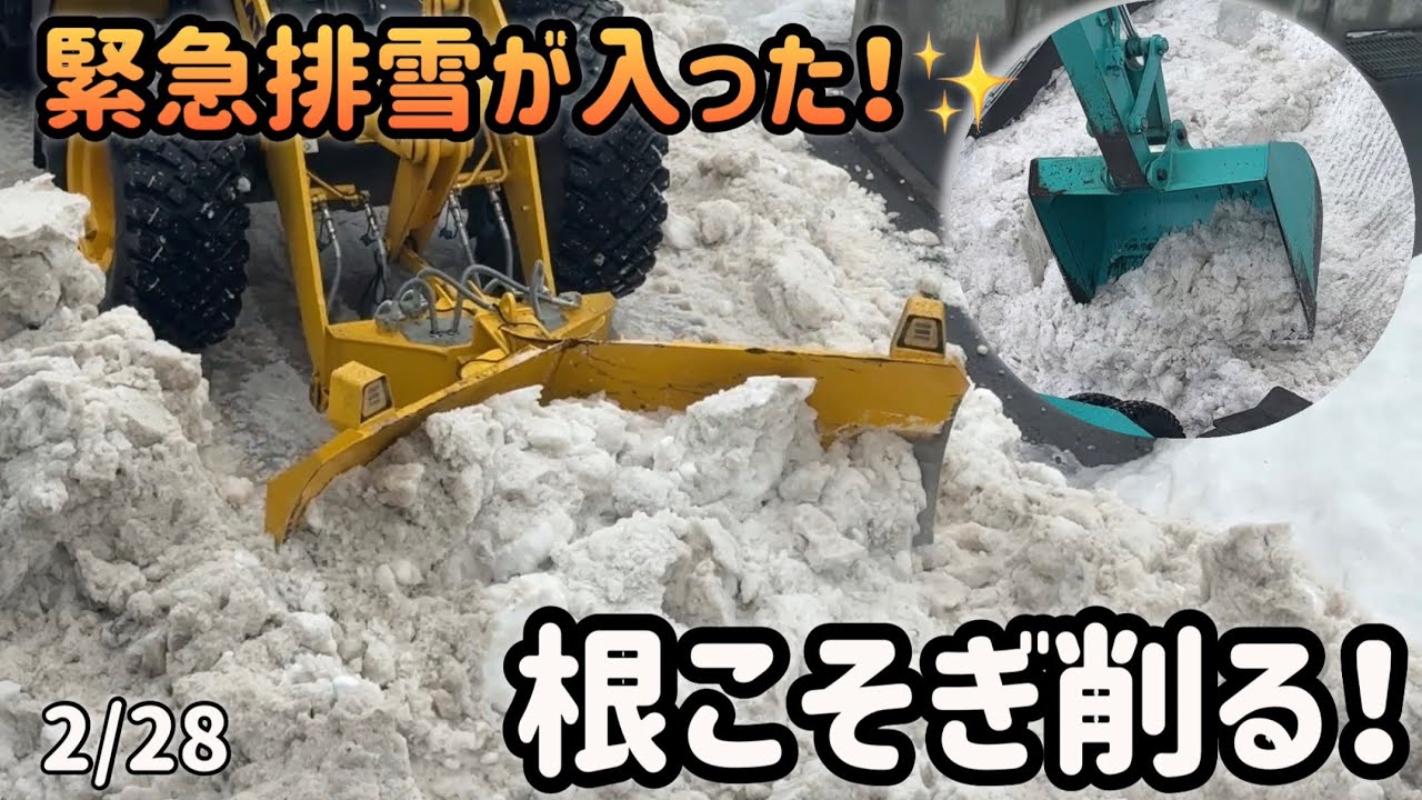 緊急排雪☃️除雪ドーザーとポクレンで一気に圧雪をガリガリ！気持ちいい〜！神業✨