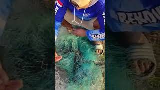 belum rejeki,,nasib apes,,jala ikan di pintu air,,Nets fishing