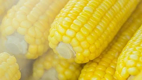 Corn Facts with Mrs. Horn - Michigan Harvest of th...