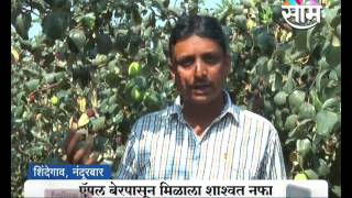 Kishore Patels Apple Bor Farming Success Story