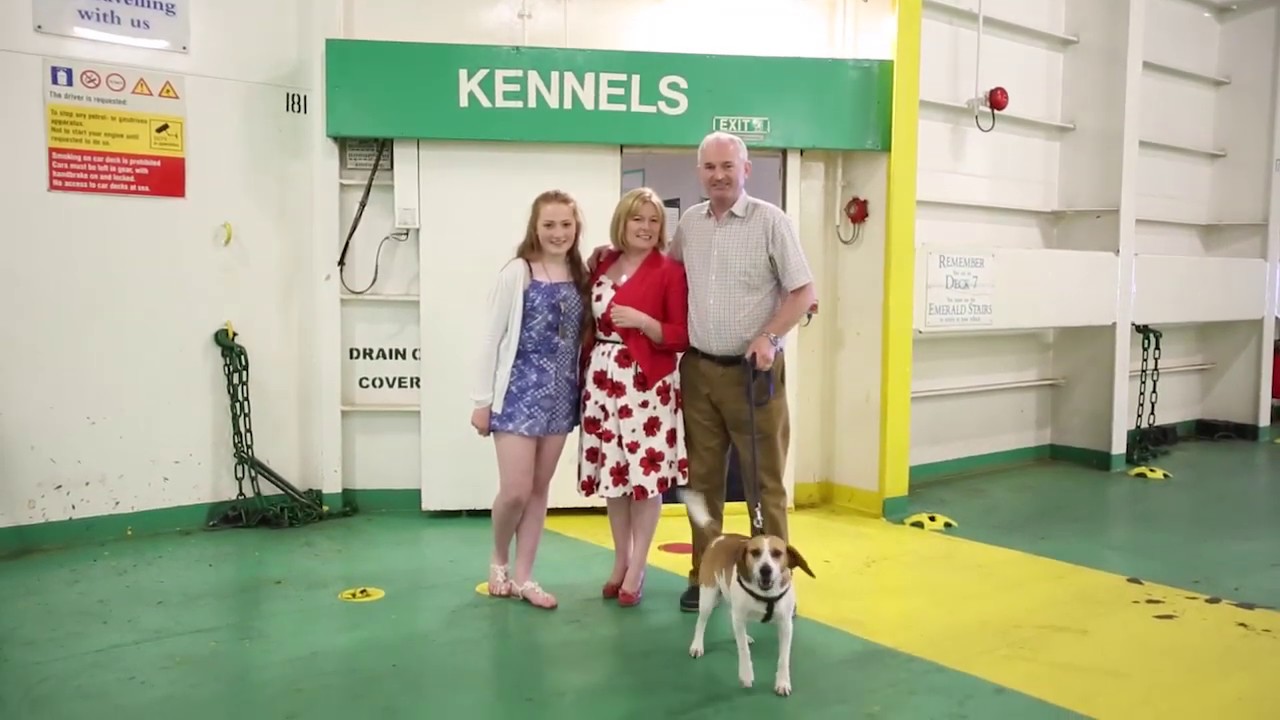 can you take dogs on the irish ferry