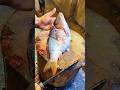 Amazon Big Golden Crap Fish Cutting Skills | Fish Cutting Video #shorts #shortsfeed #fishcutting