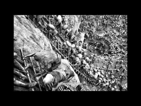 LA SAL DE LA TIERRA de WIM WENDERS y JULIANO RIBEIRO SALGADO